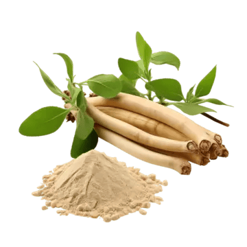 Extrait de racine d'ashwagandha