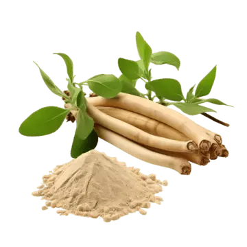 Extrait de racine d'ashwagandha